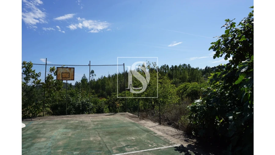 Quinta T6 para Venda em Sardoal Foto 41