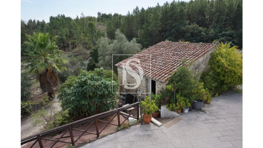 Quinta T6 para Venda em Sardoal Foto 31