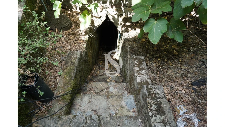 Quinta T6 para Venda em Sardoal Foto 3