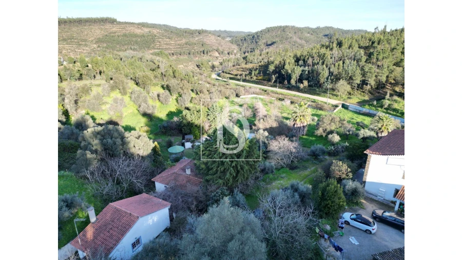 Quinta T6 para Venda em Sardoal Foto 24