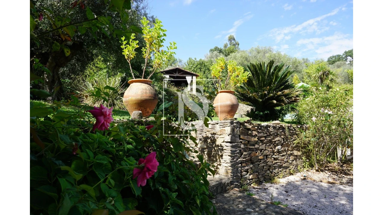 Quinta T6 para Venda em Sardoal Foto 7