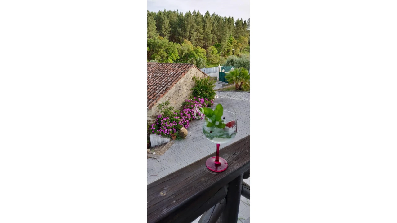 Quinta T6 para Venda em Sardoal Foto 16