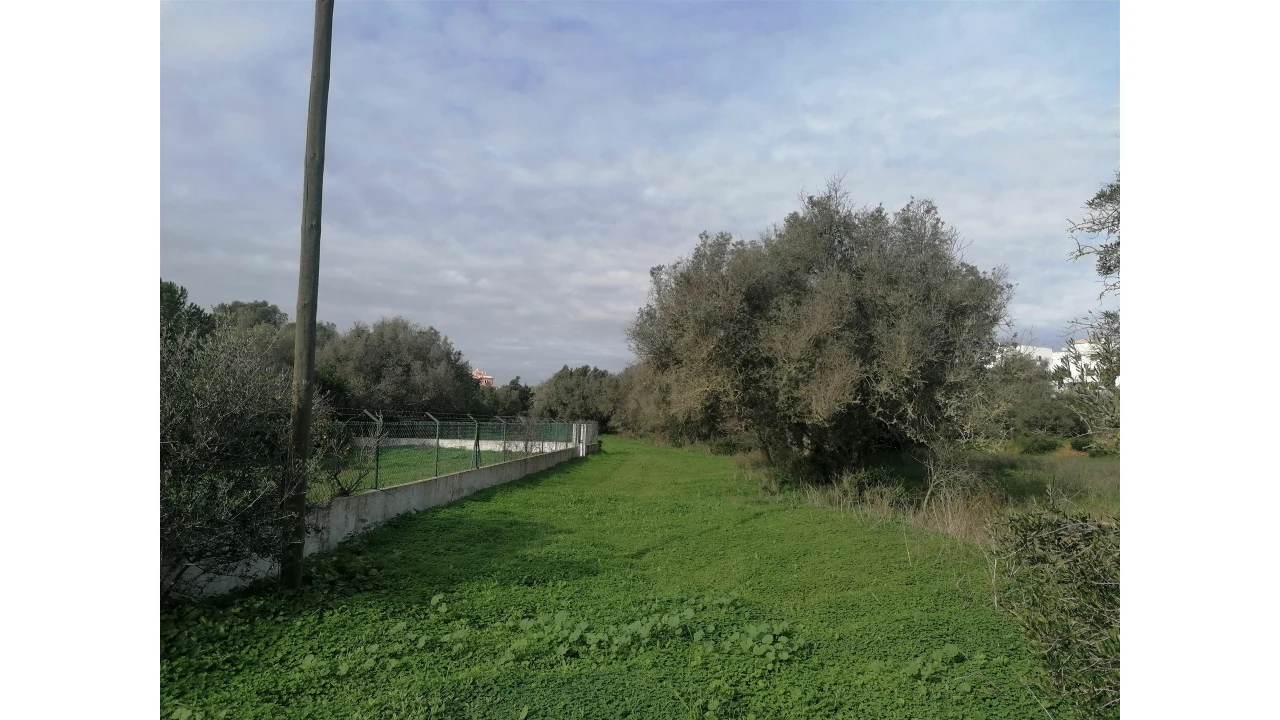 Terreno para Venda em Armação de Pera Foto 6