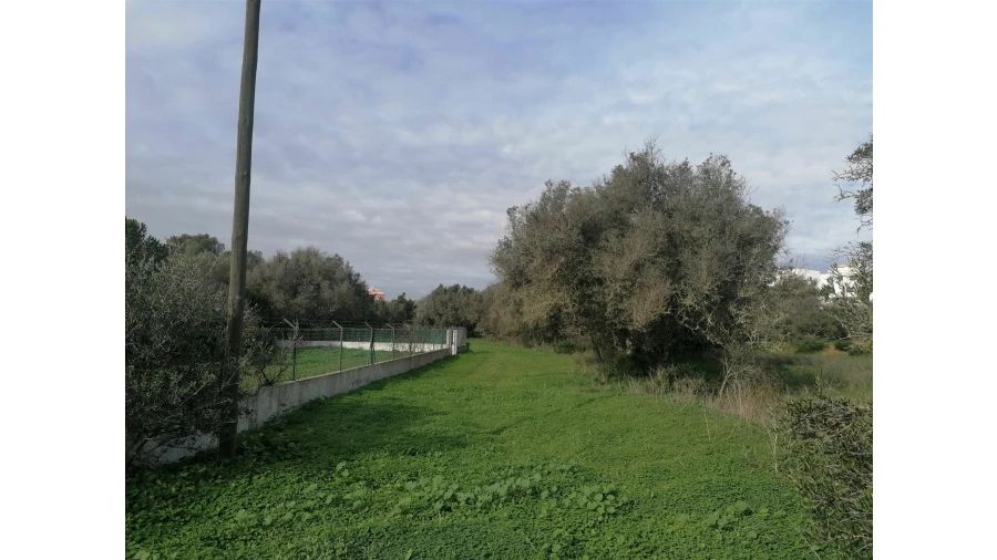 Terreno para Venda em Armação de Pera Foto 6