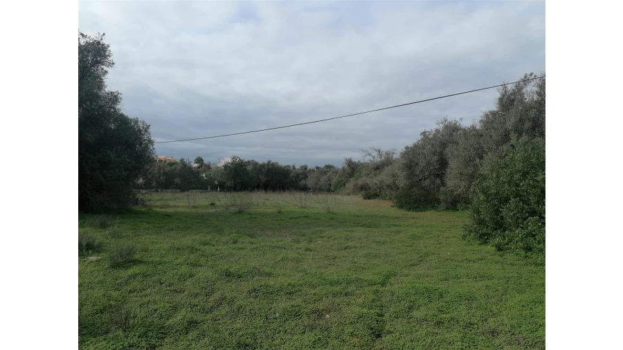 Terreno para Venda em Armação de Pera Foto 10