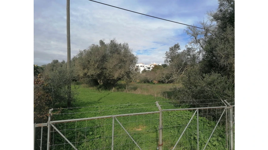 Terreno para Venda em Armação de Pera Foto 5