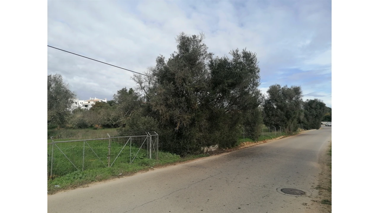 Terreno para Venda em Armação de Pera Foto 12