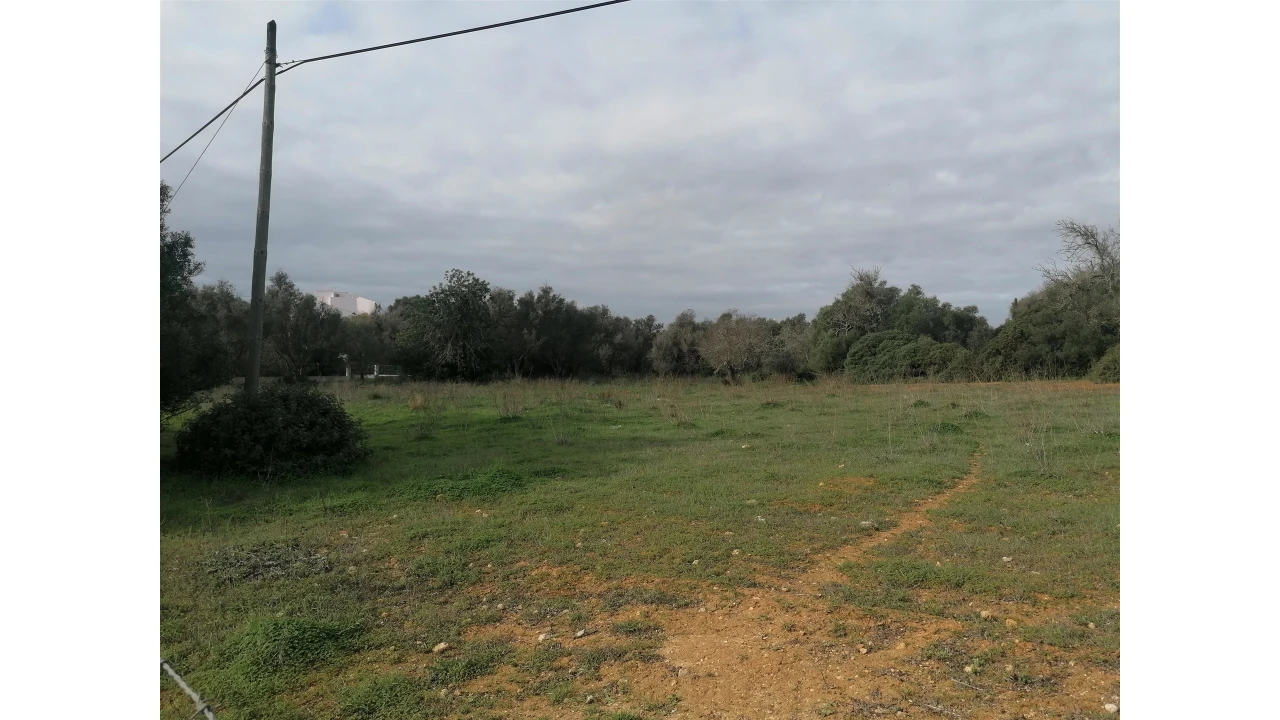 Terreno para Venda em Armação de Pera Foto 9