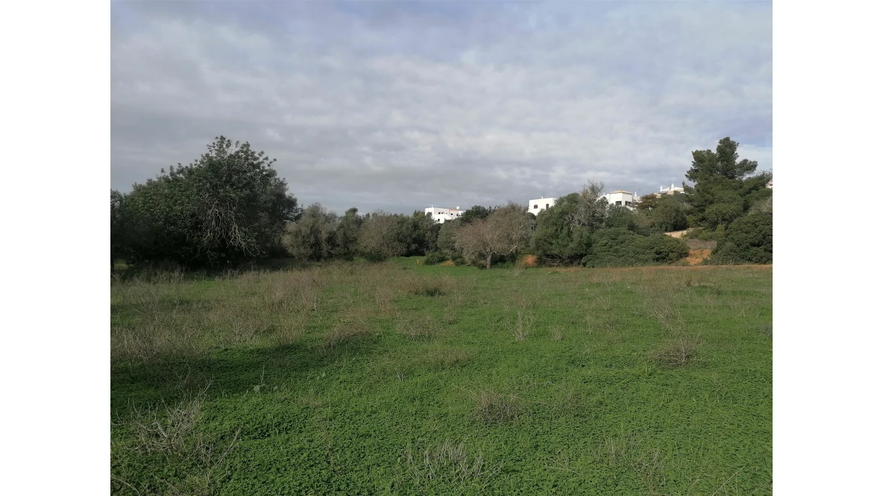 Terreno para Venda em Armação de Pera Foto 7