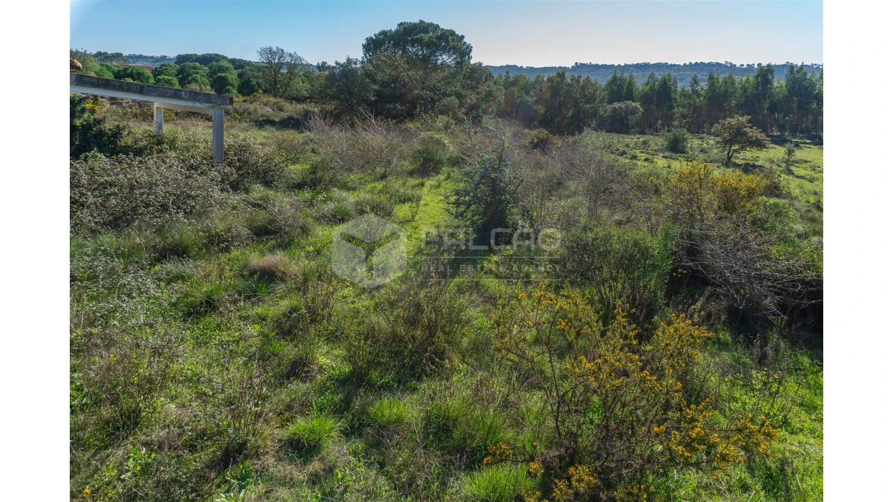 Moradia T2 para Venda em Marmeleira e Assentiz Foto 29