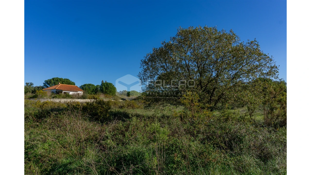 Moradia T2 para Venda em Marmeleira e Assentiz Foto 15