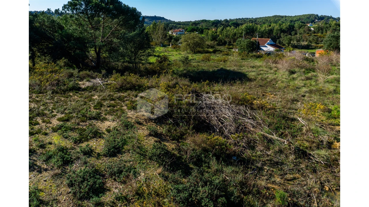 Moradia T2 para Venda em Marmeleira e Assentiz Foto 34