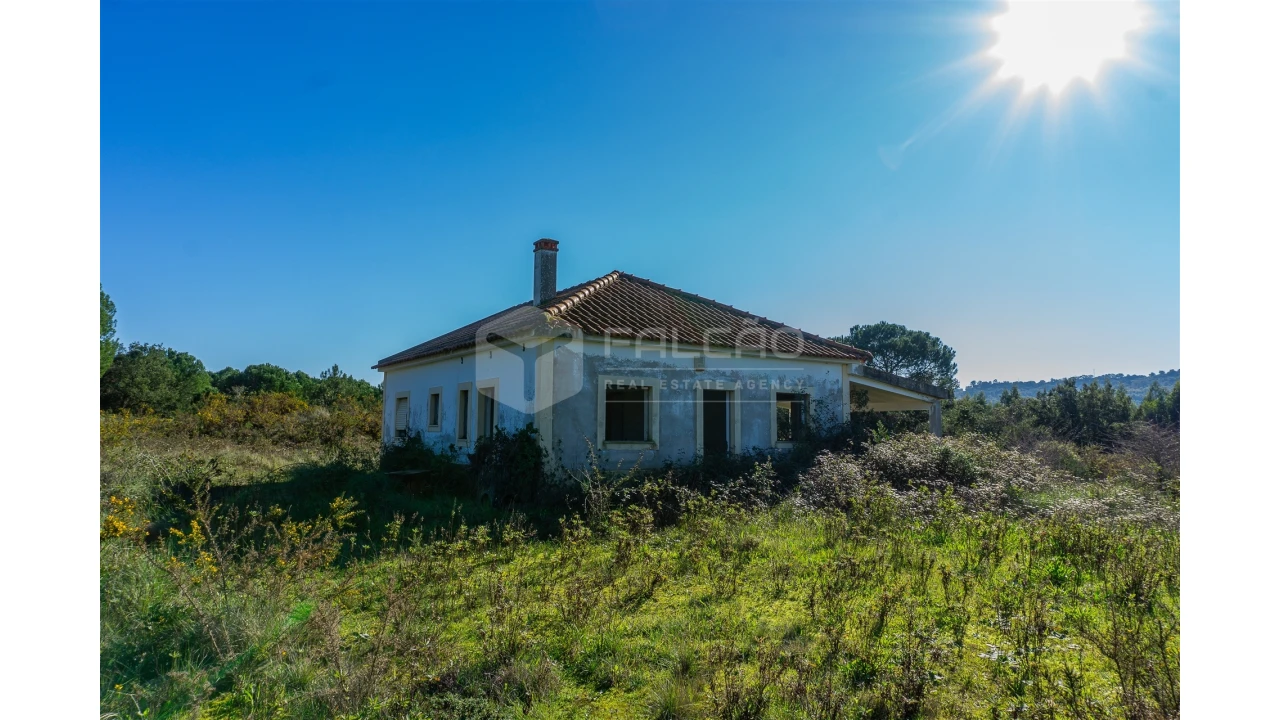 Moradia T2 para Venda em Marmeleira e Assentiz Foto 6