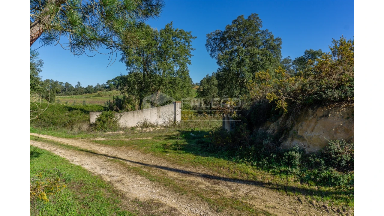 Moradia T2 para Venda em Marmeleira e Assentiz Foto 18