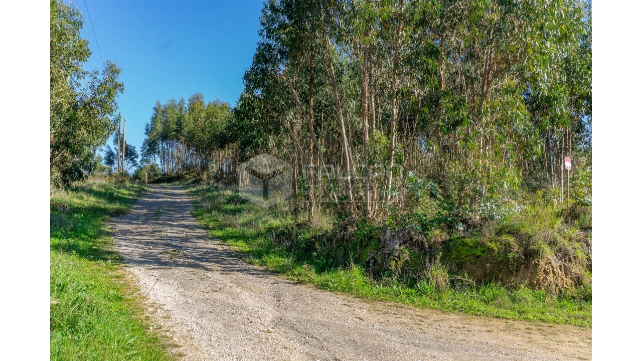 Moradia T2 para Venda em Marmeleira e Assentiz Foto 17