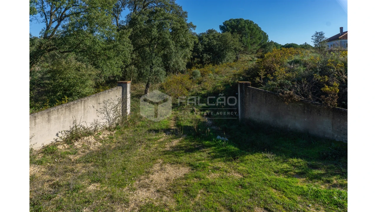 Moradia T2 para Venda em Marmeleira e Assentiz Foto 35