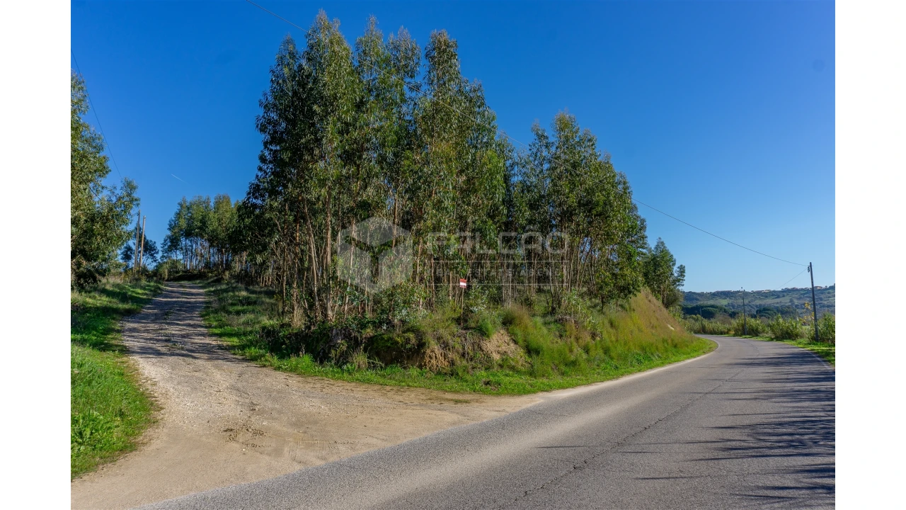 Moradia T2 para Venda em Marmeleira e Assentiz Foto 11