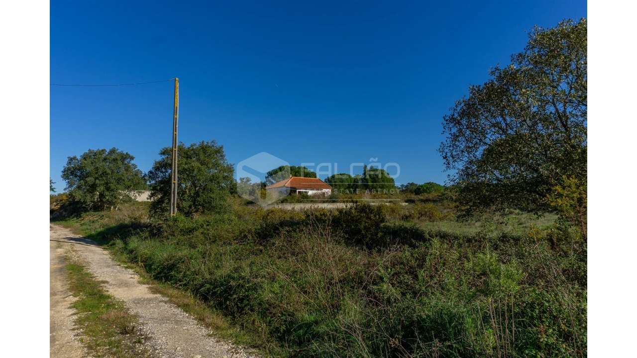 Moradia T2 para Venda em Marmeleira e Assentiz Foto 14
