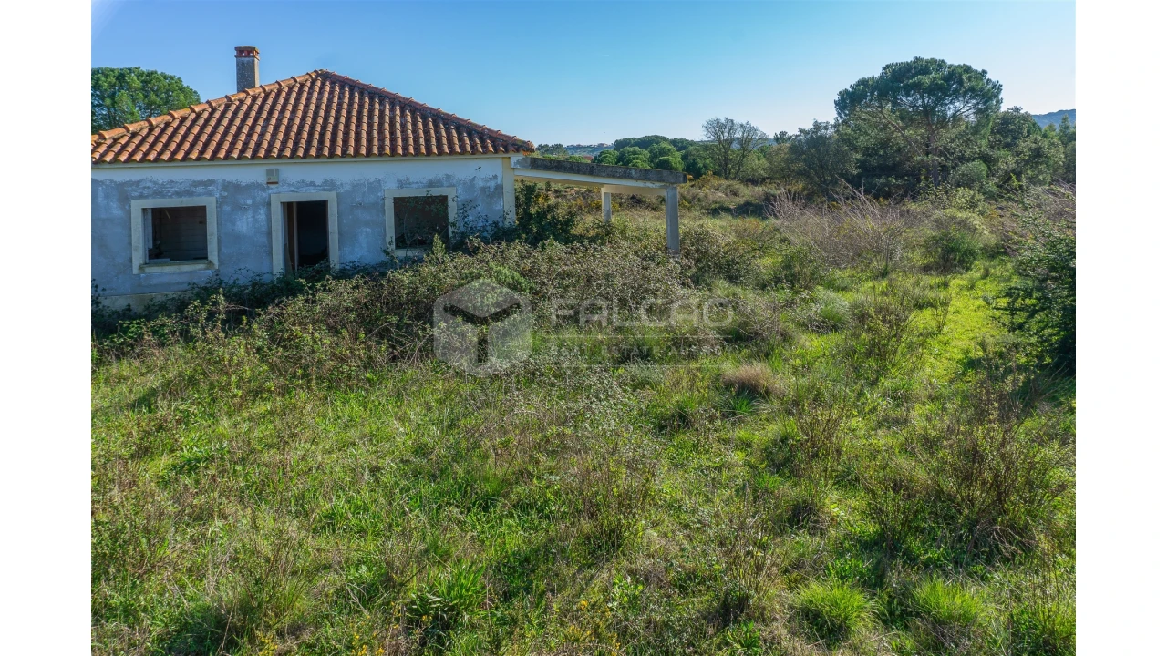 Moradia T2 para Venda em Marmeleira e Assentiz Foto 2