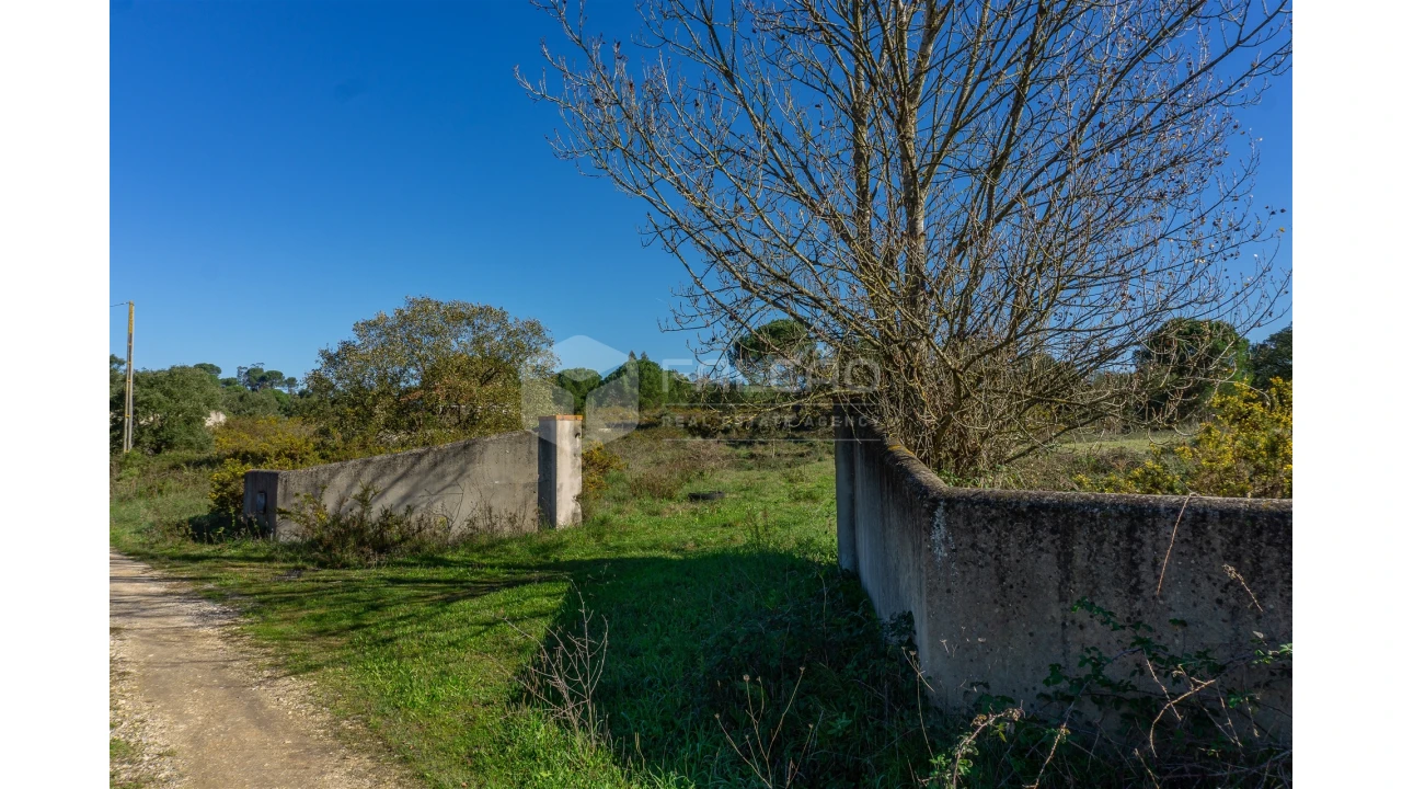 Moradia T2 para Venda em Marmeleira e Assentiz Foto 10