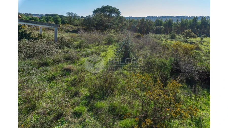 Moradia T2 para Venda em Marmeleira e Assentiz Foto 29