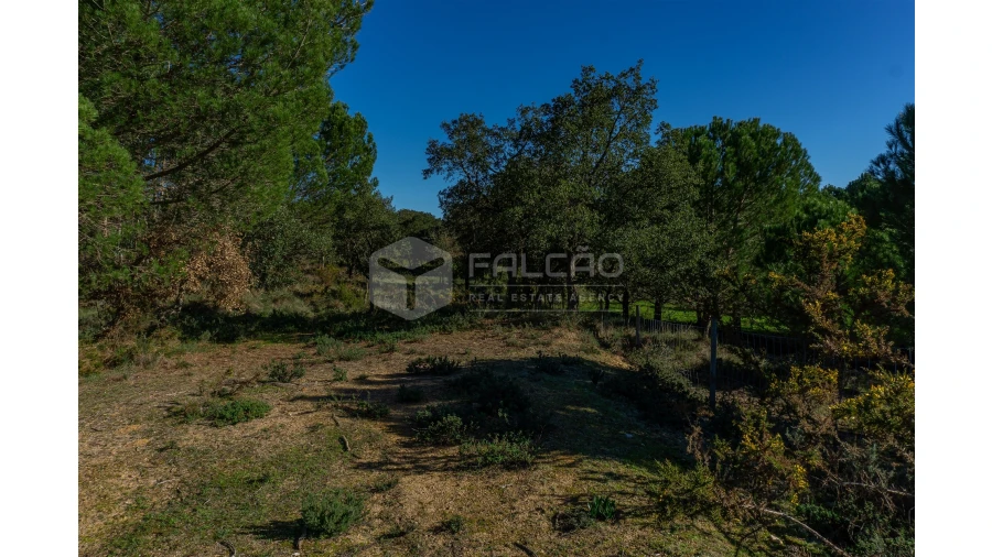 Moradia T2 para Venda em Marmeleira e Assentiz Foto 20