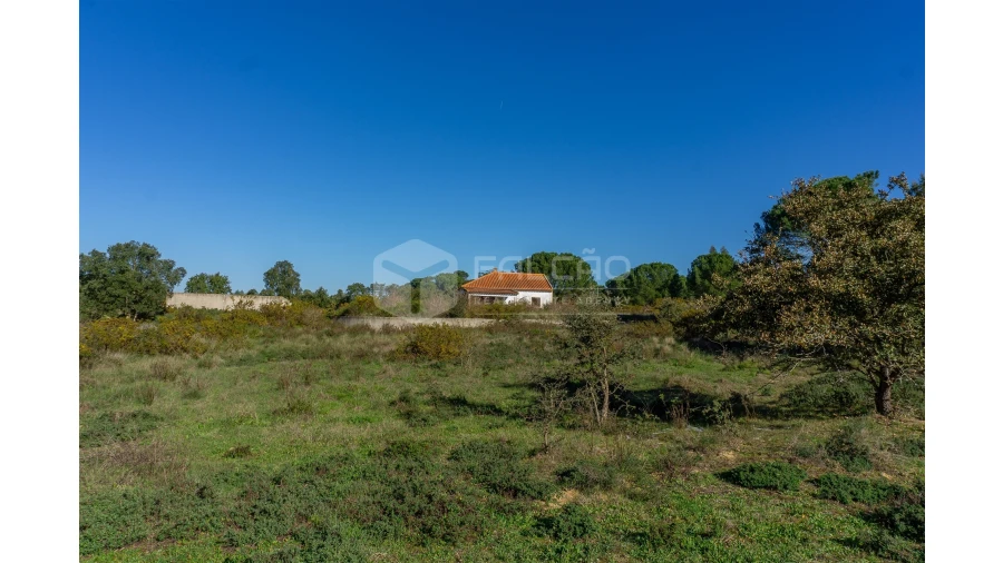 Moradia T2 para Venda em Marmeleira e Assentiz Foto 13