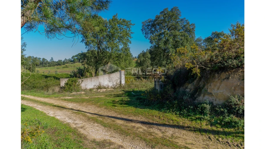Moradia T2 para Venda em Marmeleira e Assentiz Foto 16
