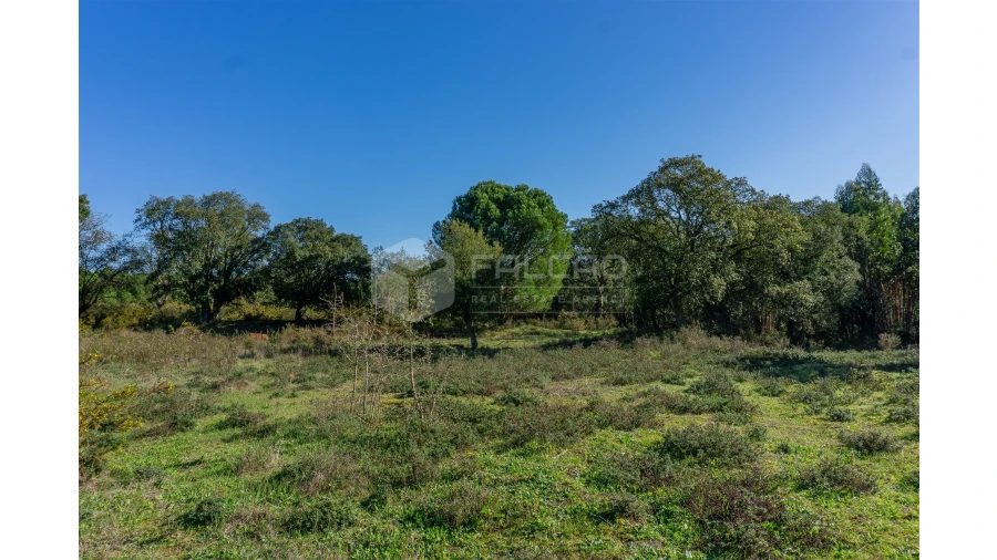 Moradia T2 para Venda em Marmeleira e Assentiz Foto 7