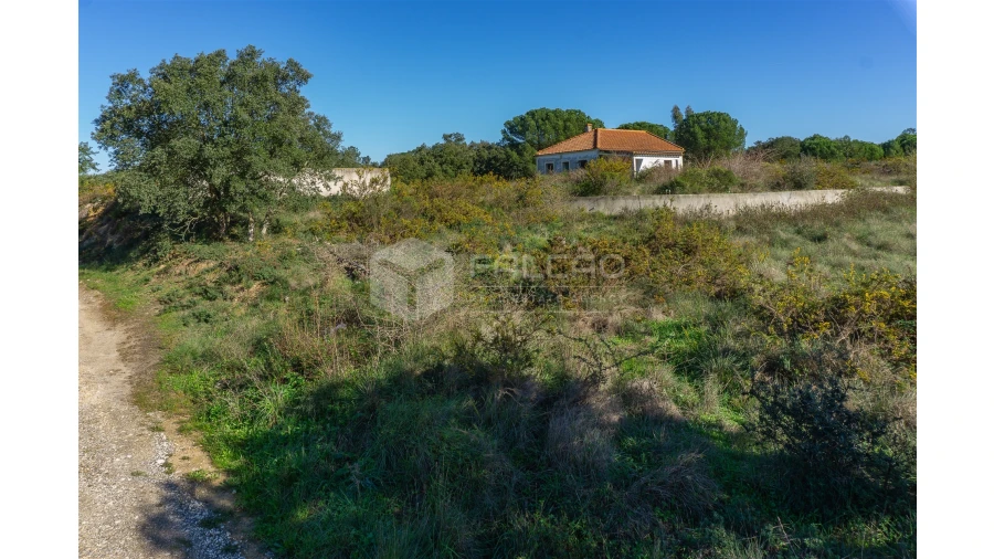 Moradia T2 para Venda em Marmeleira e Assentiz Foto 38