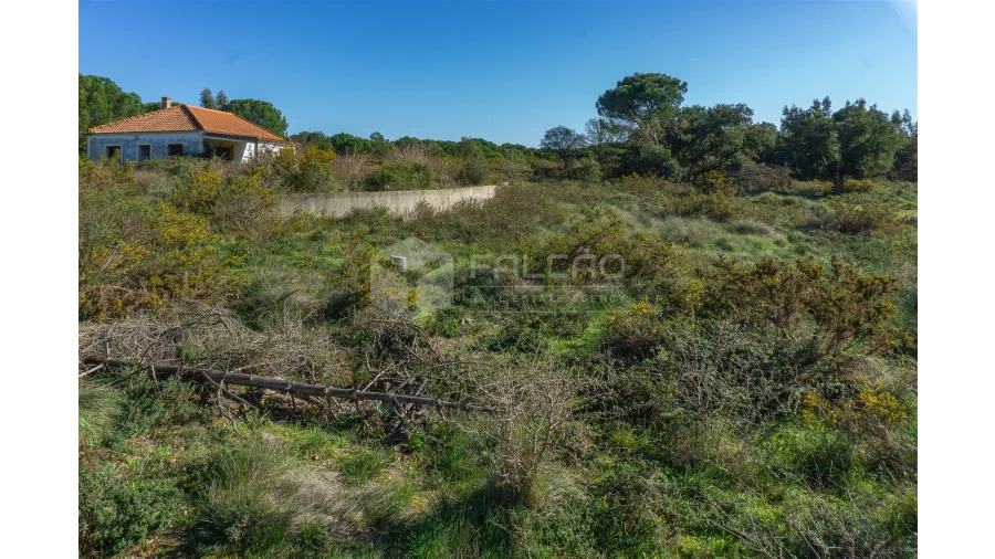 Moradia T2 para Venda em Marmeleira e Assentiz Foto 37