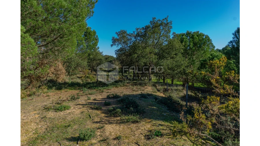 Moradia T2 para Venda em Marmeleira e Assentiz Foto 19