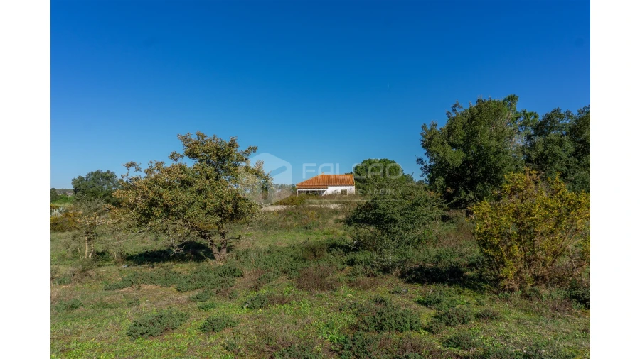 Moradia T2 para Venda em Marmeleira e Assentiz Foto 5