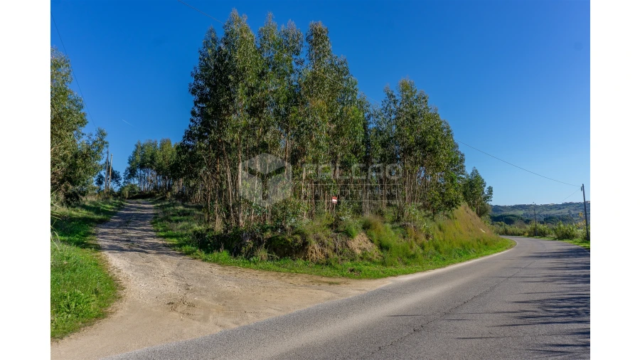 Moradia T2 para Venda em Marmeleira e Assentiz Foto 12