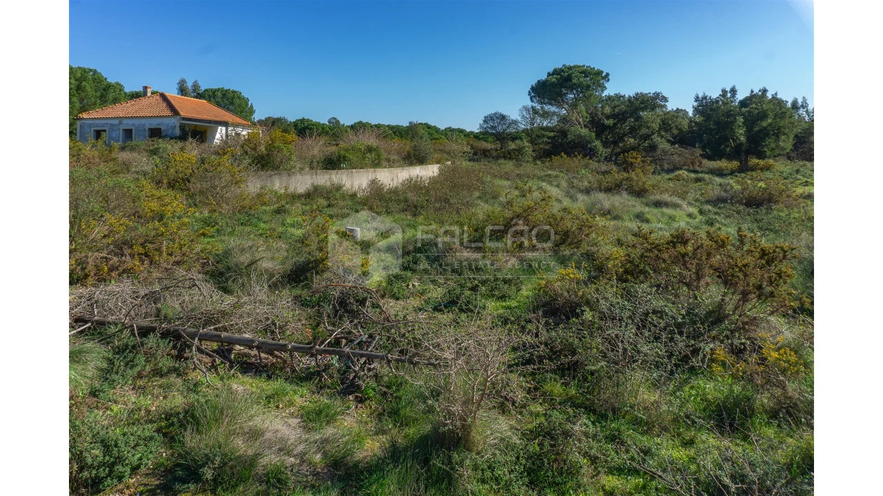 Moradia T2 para Venda em Marmeleira e Assentiz Foto 37