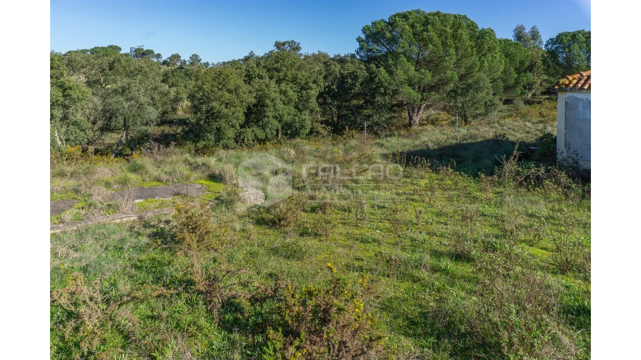 Moradia T2 para Venda em Marmeleira e Assentiz Foto 30