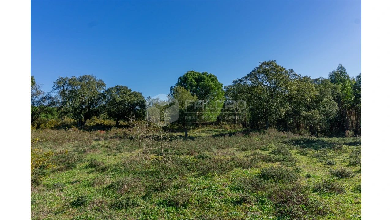 Moradia T2 para Venda em Marmeleira e Assentiz Foto 4