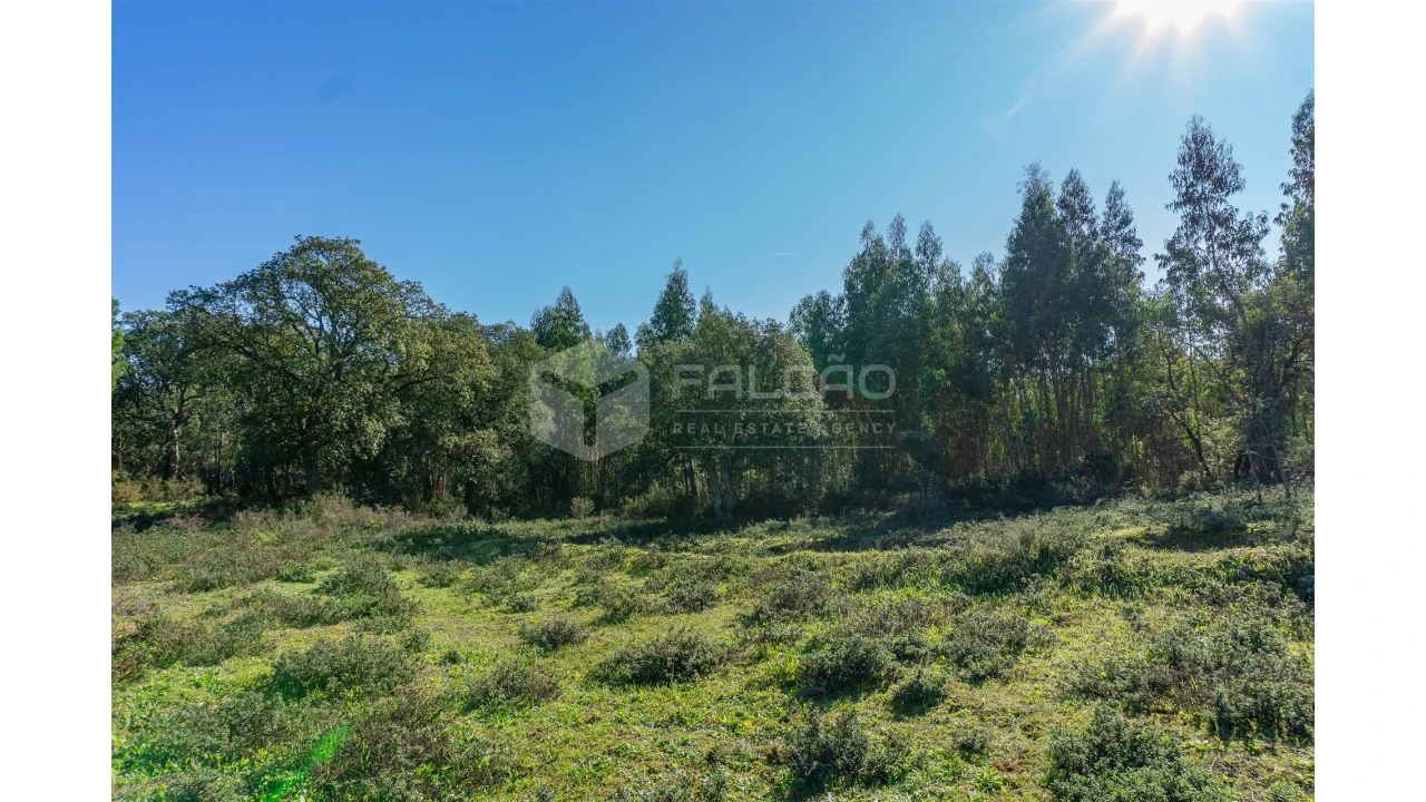 Moradia T2 para Venda em Marmeleira e Assentiz Foto 8