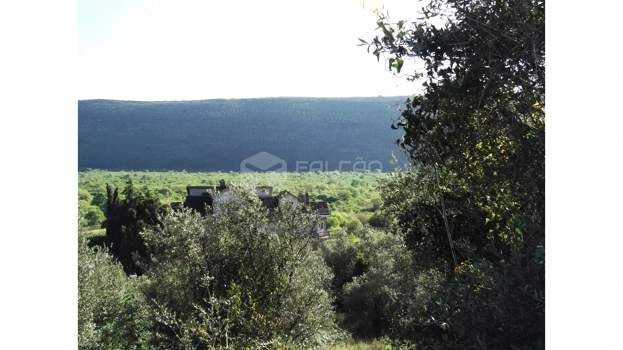 Terreno para Venda em Mira de Aire Foto 2