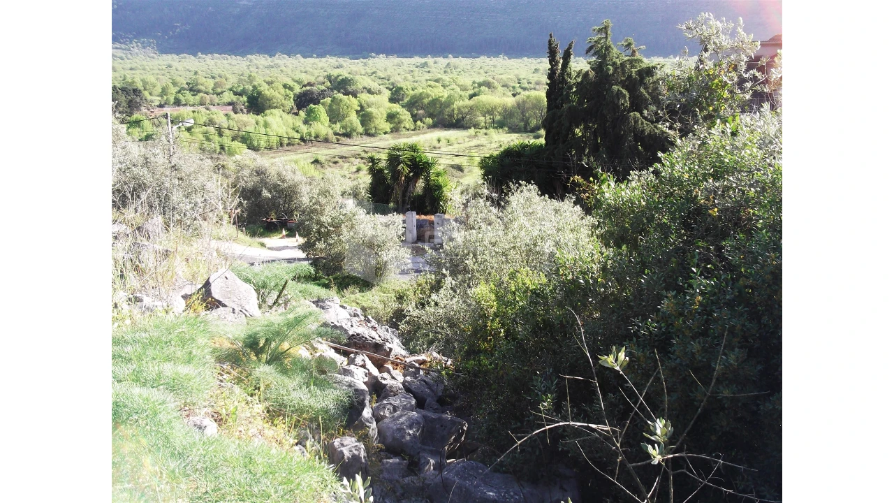 Terreno para Venda em Mira de Aire Foto 7