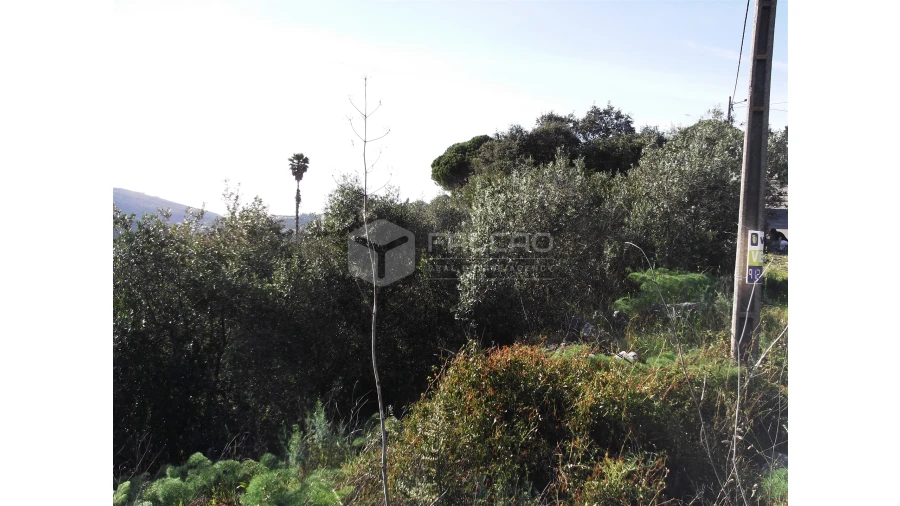 Terreno para Venda em Mira de Aire Foto 6