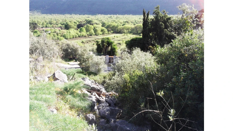 Terreno para Venda em Mira de Aire Foto 7