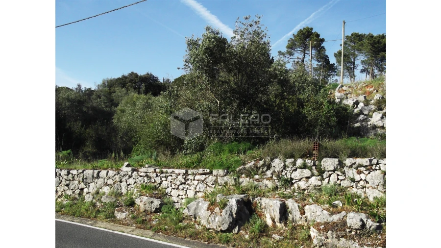 Terreno para Venda em Mira de Aire Foto 1