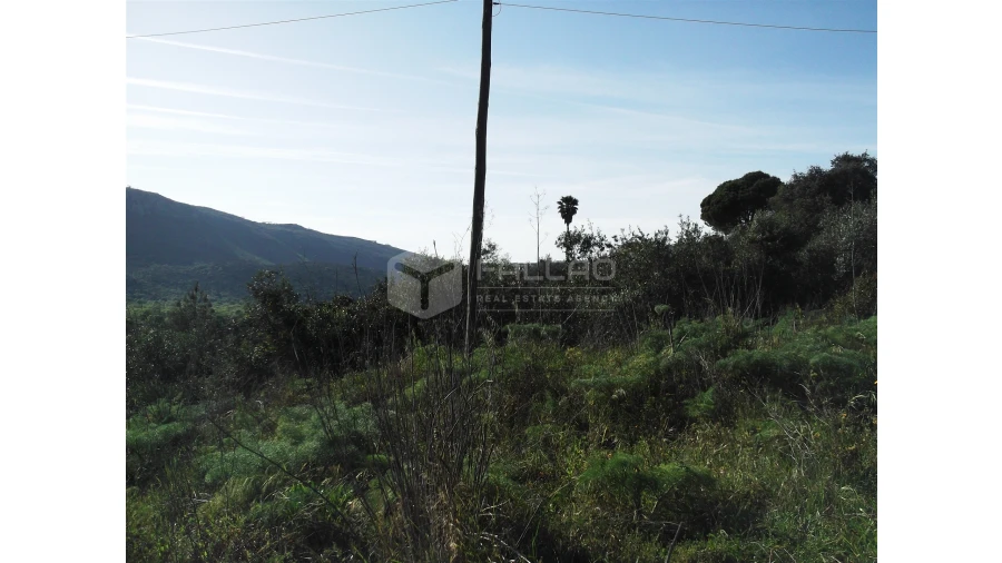 Terreno para Venda em Mira de Aire Foto 4