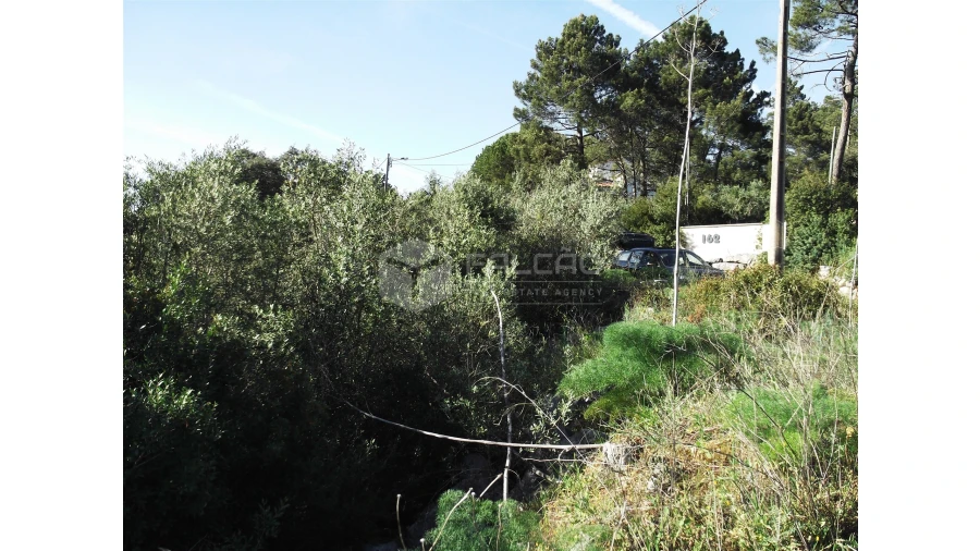 Terreno para Venda em Mira de Aire Foto 8