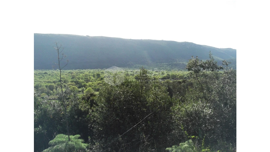 Terreno para Venda em Mira de Aire Foto 10