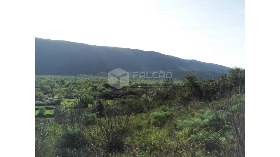 Terreno para Venda em Mira de Aire Foto 5