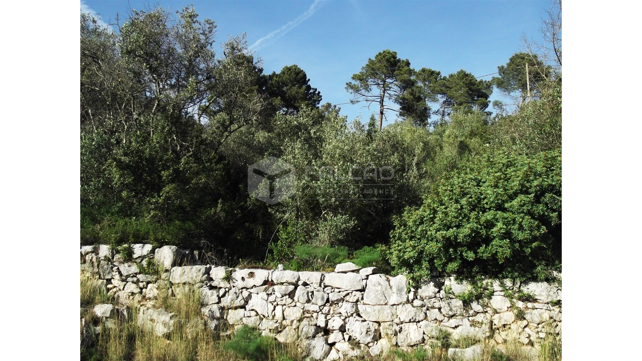 Terreno para Venda em Mira de Aire Foto 12