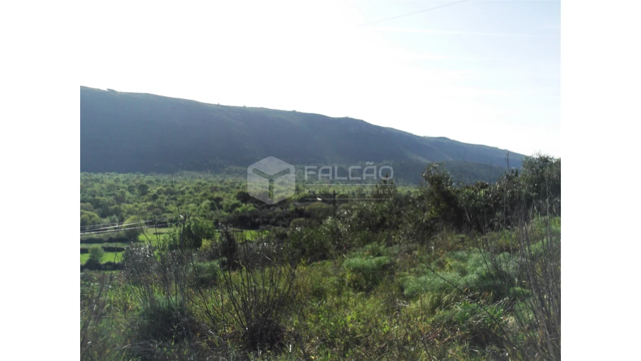 Terreno para Venda em Mira de Aire Foto 5