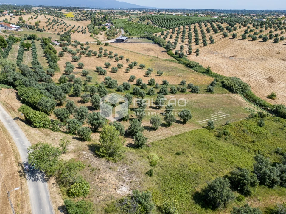 Terreno Agricola ou Rústico para Venda em Casével e Vaqueiros Foto 14